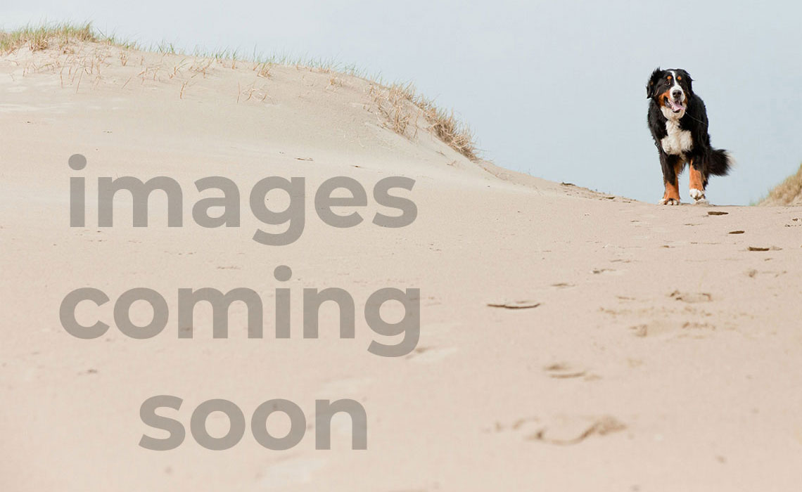 Luxury New Construction Vacation Home wi...