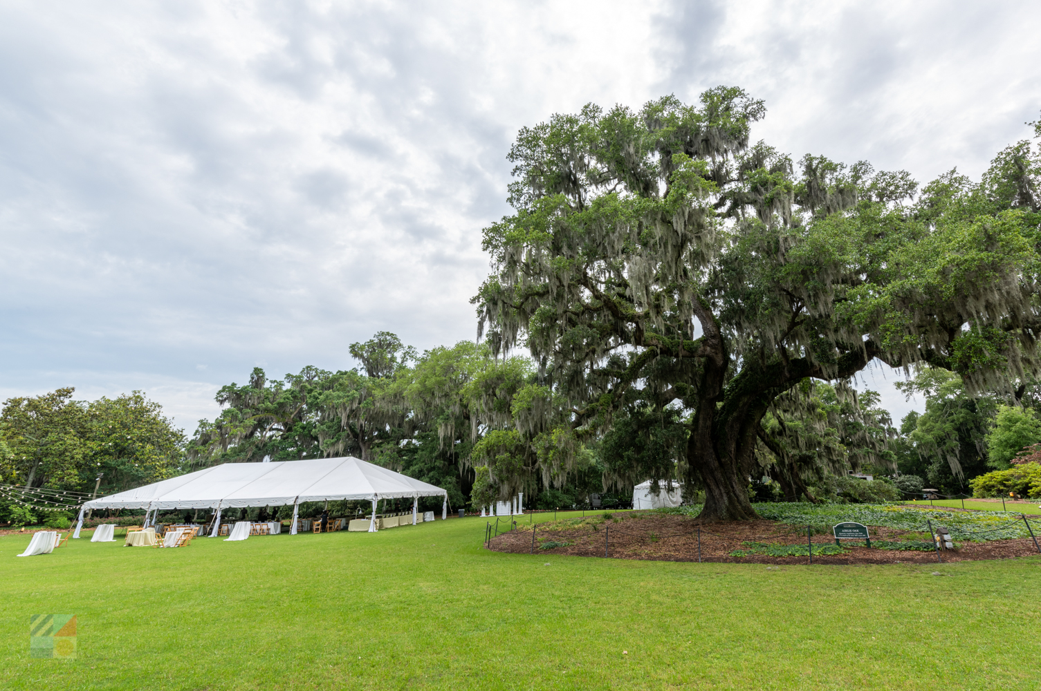 Airlie Gardens