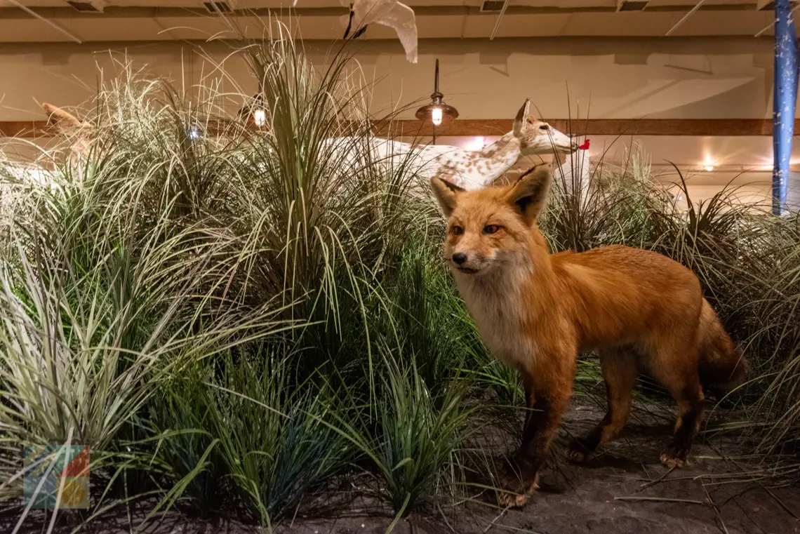 Outer Banks Center for Wildlife Education