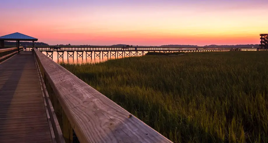 Port Royal Cypress Wetland & River Sunset