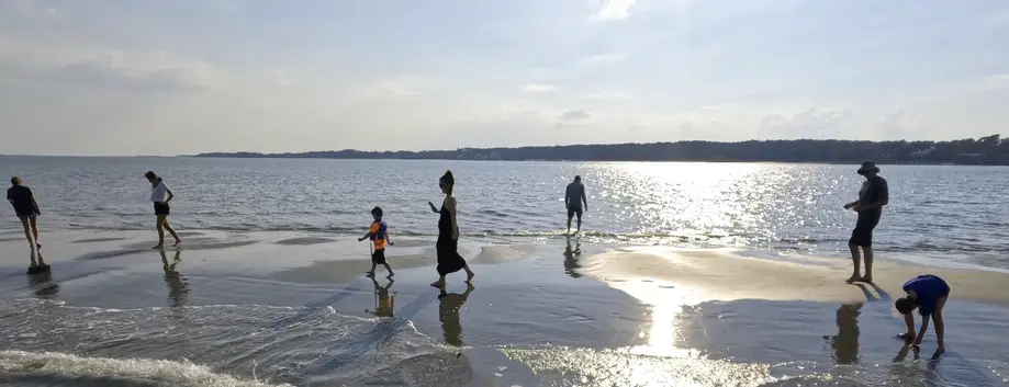 Vanishing Mile Isle Tour